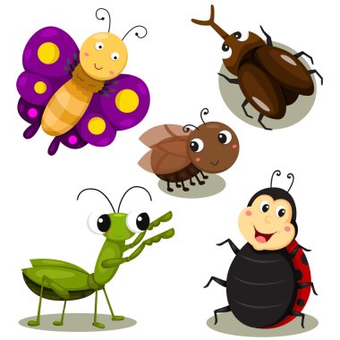 Illustrator of bug cartoon cute clipart