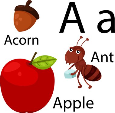 Illustrator bir alfabe