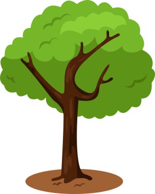 Illustrator ağacının