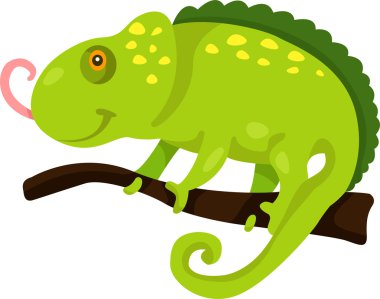 Illustrator iguana