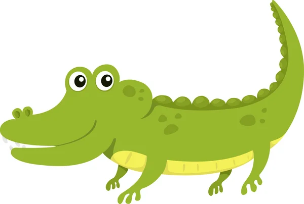 短吻鳄的插画 — 图库矢量图片