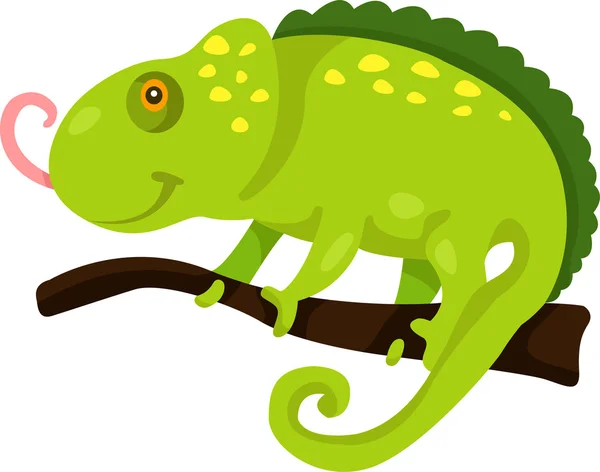 Illustratore dell'iguana — Vettoriale Stock