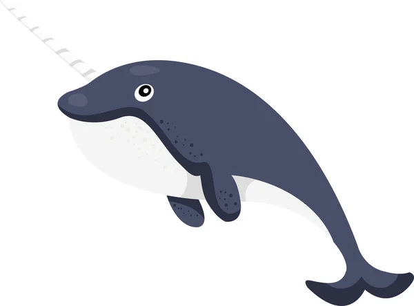 Illustrator of narwhal — Stock Vector