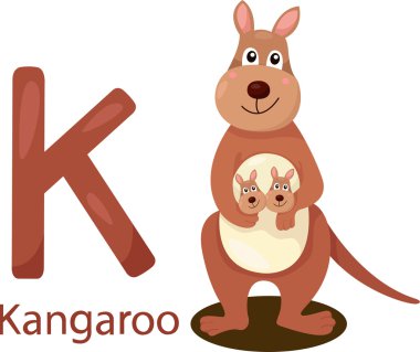 K Illustrator ile kanguru