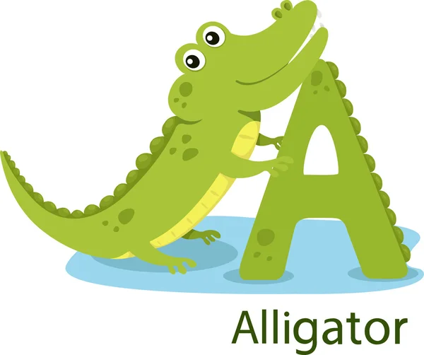 Illustrator of A with alligator — Stock Vector