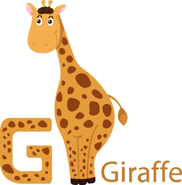 Illustrazione dell'alfabeto animale G isolato per la giraffa — Vettoriale Stock