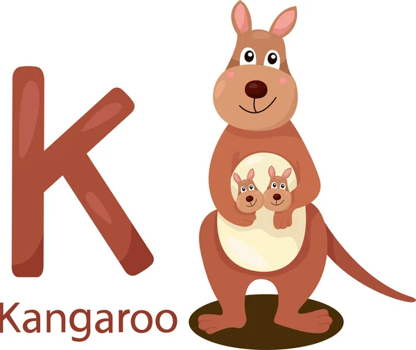 Ilustrador de K com canguru — Vetor de Stock