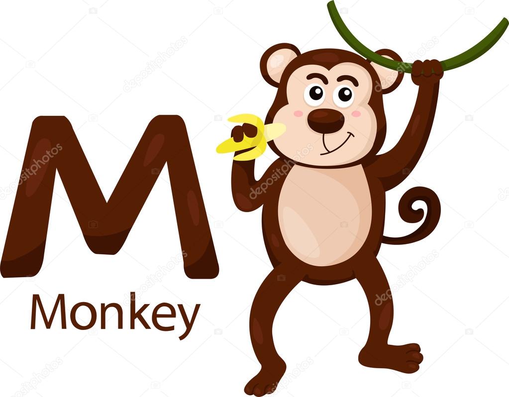 Illustrator Of M With Monkey Vector Image By C Chingowinn Vector Stock