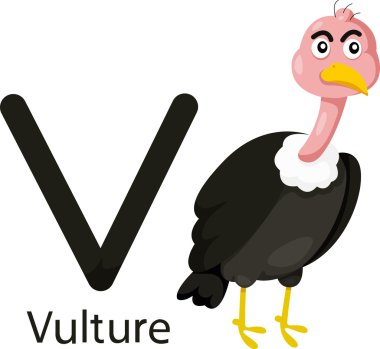 V Illustrator ile akbaba