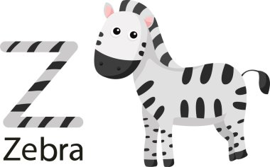 Z Illustrator ile zebra