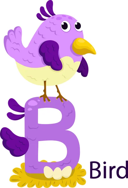 Illustration of isolated animal alphabet B for bird on white — Stock Vector