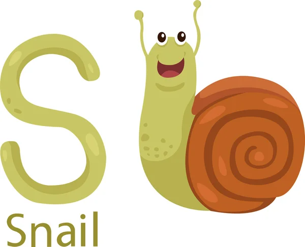 Illustrateur de S avec escargot — Image vectorielle