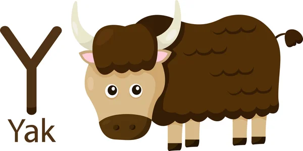 Illustrator of Y with yak — Stock Vector