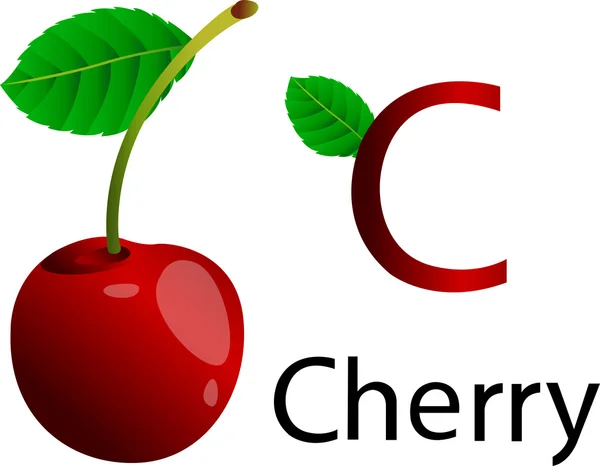 C Font with cherry — Stock Vector