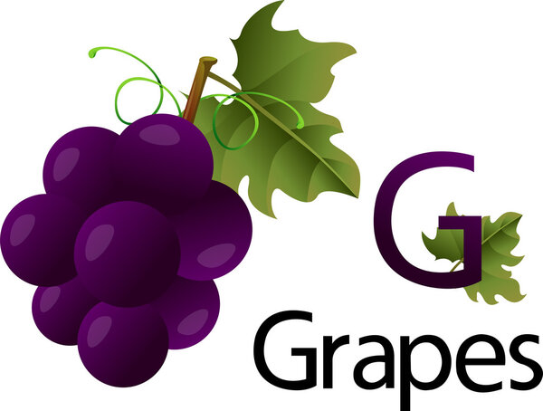 G Font with Grapes