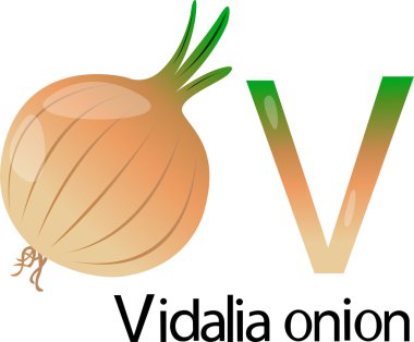 Illustrator v font with vi dalia onion clipart