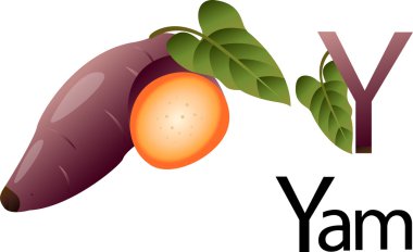 Illustrator y font with yam clipart