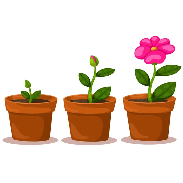 Illustratore fiore della crescita — Vettoriale Stock