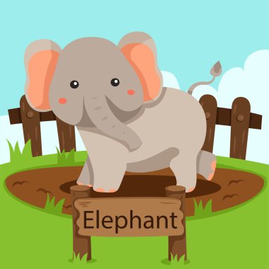 Illustrator filin Hayvanat Bahçesi