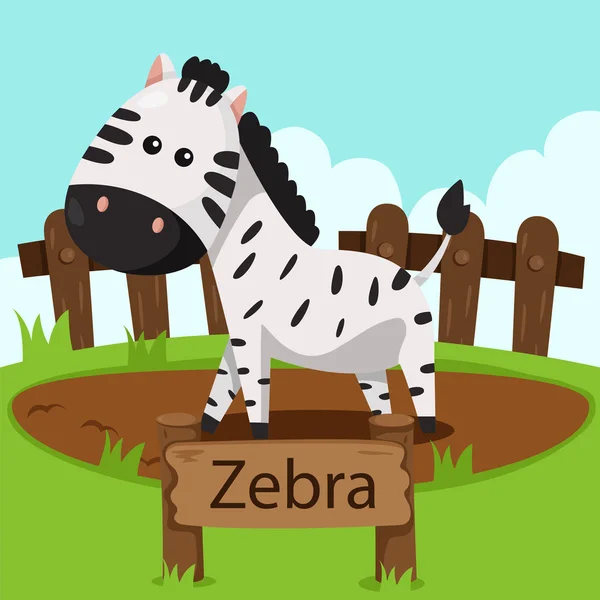 Illustrator för zebra i djurparken — Stock vektor