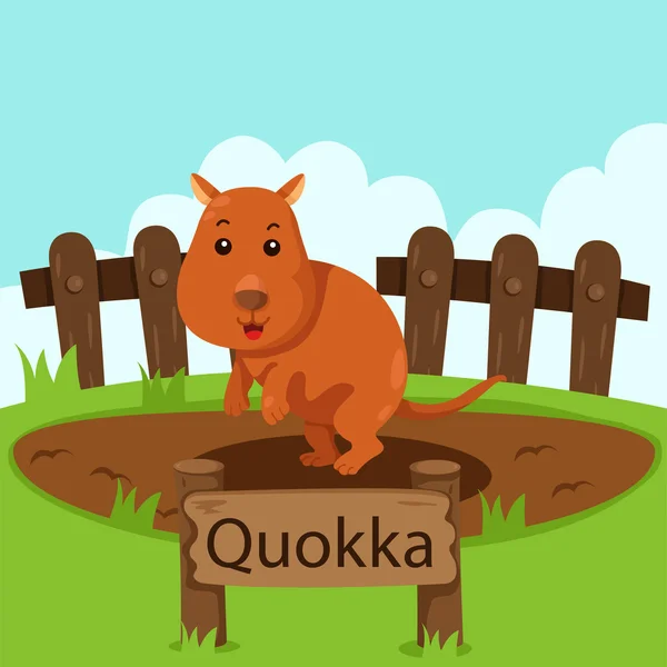 Illustratören av quokka i djurparken — Stock vektor