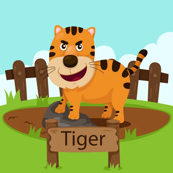 Illustrateur de tigre dans le zoo — Image vectorielle