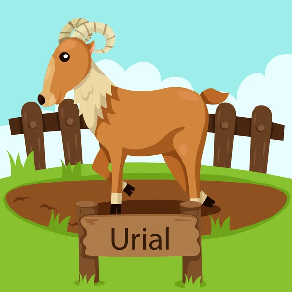 Illustrator of Uri al in the zoo — Stock Vector