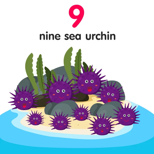 Illustrateur de neuf oursins — Image vectorielle