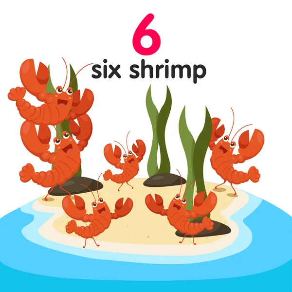 Illustrateur de six crevettes — Image vectorielle