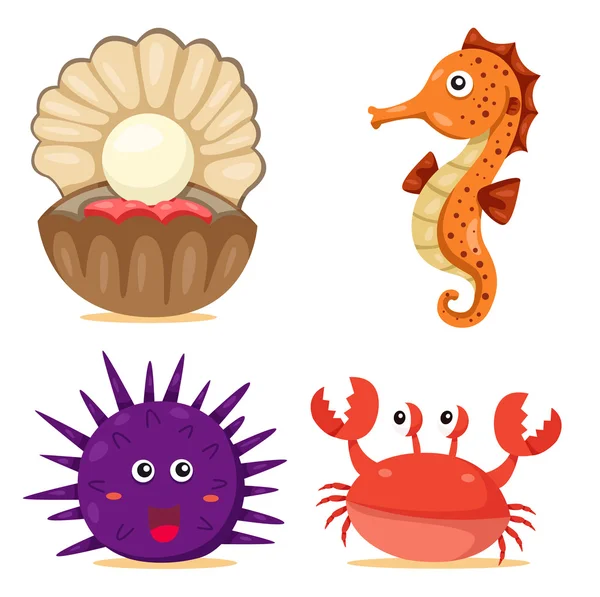 Illustrator of sea animl