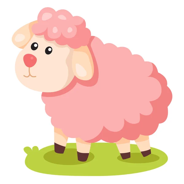 Ilustrador de ovelhas — Vetor de Stock