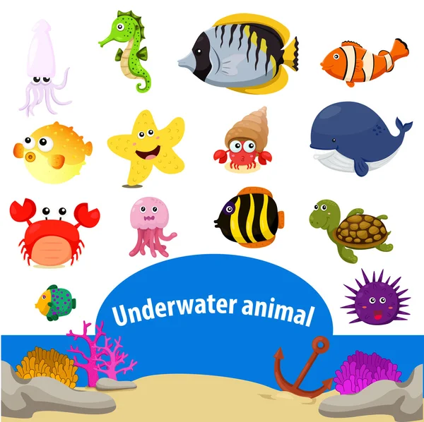 Illustrator of underwater animal — Stok Vektör