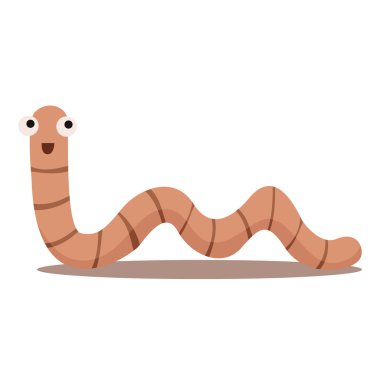 Solucan bir Illustrator