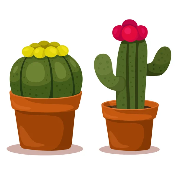 Conjunto de cactos em estilo simples de desenho animado isolado no fundo  branco. cactus em vasos e flores. variedade