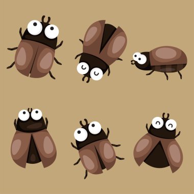 Illustrator böceği