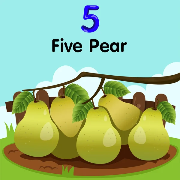 Illustrator för nummer fem med päron — Stock vektor