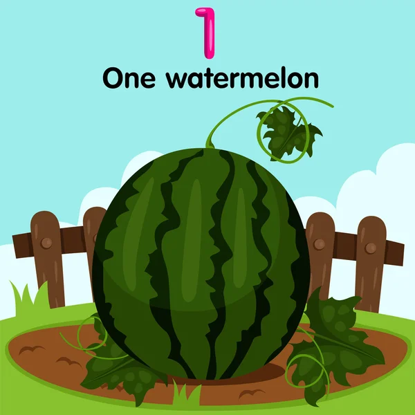 Illustrator of number one watermelon — Stock Vector