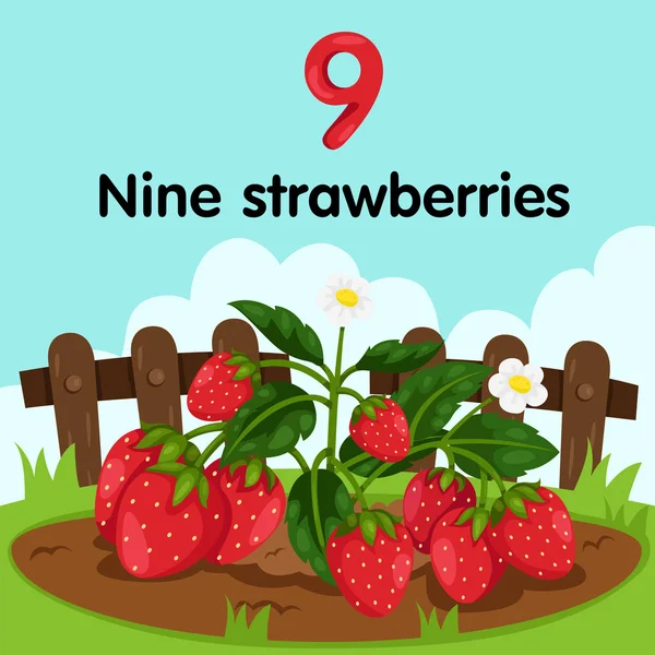 Ilustrador de fresas número nueve — Vector de stock