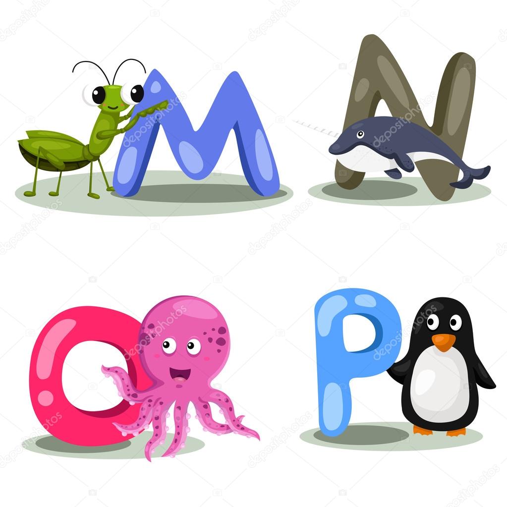 Illustrator alphabet animal LETTER - m,n,o,p
