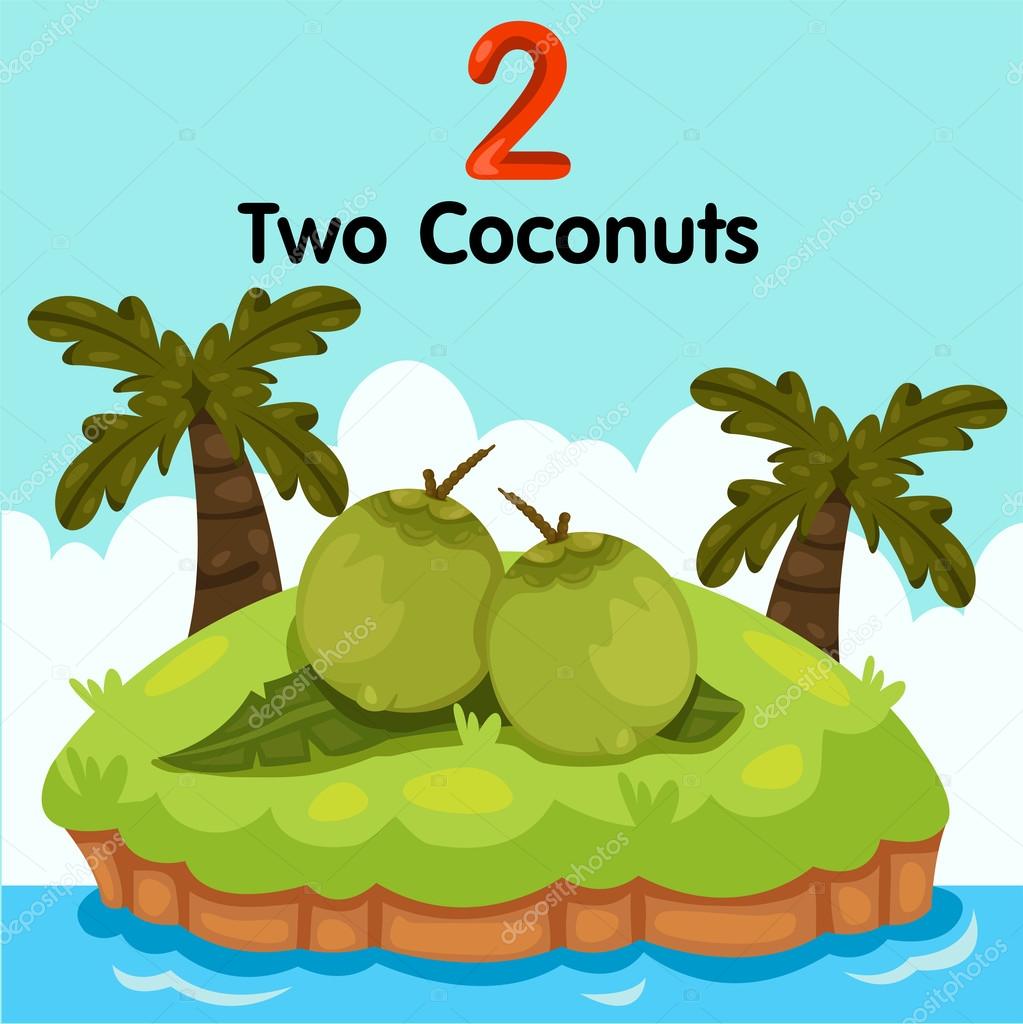 Illustrator of number two coconuts