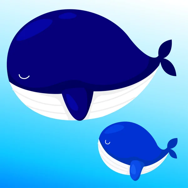 Illustrator of whales — Stock Vector