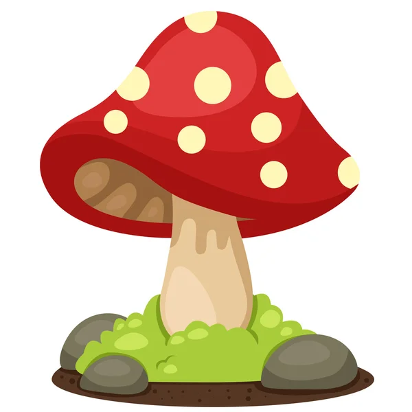 Illustrator of mushrooms landscape — Stock Vector