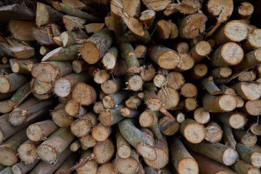 Yakacak odun ve çit için tahta asma çubukları..      