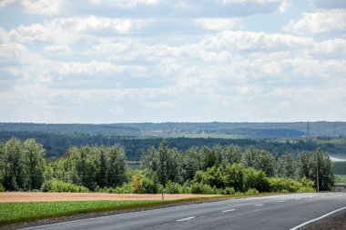 Beyaz Rusya 'nın güzel doğal manzarası. Tarlalar ve ormanlar.