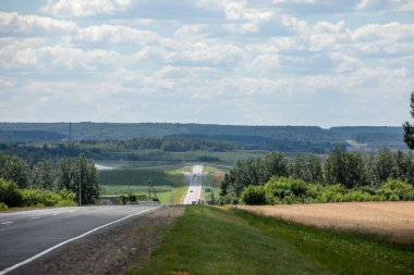 Beyaz Rusya 'nın güzel doğal manzarası. Tarlalar ve ormanlar.