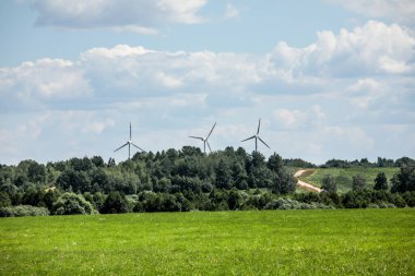 Sazlıkta bir yel değirmeni ve mavi gökyüzü.