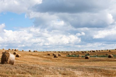 Yazın tarlada saman yığınları.