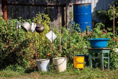 Kovalar, eski alüminyum ve yazın yeşil arka planda demir tencereler. Köylülerin kırsal yaşamı.
