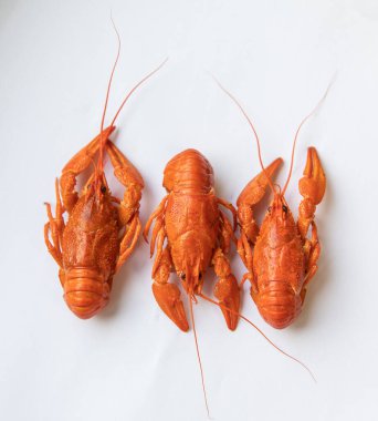 Beyaz arka planda kırmızı kaynamış kerevit..