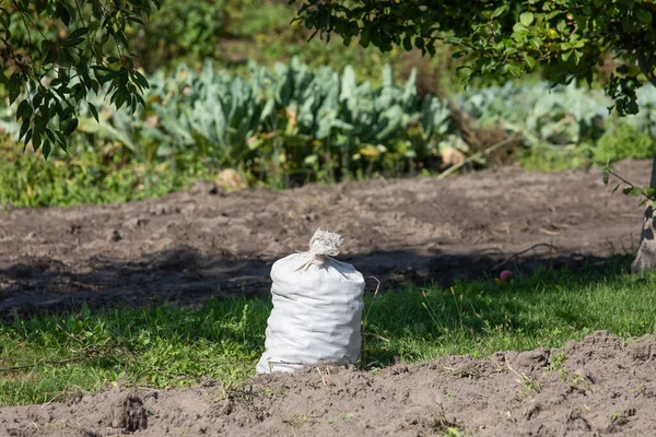 Tas Putih Dengan Kentang Hasil Panen Kebun Rumah Gambar Lapangan — Stok Foto